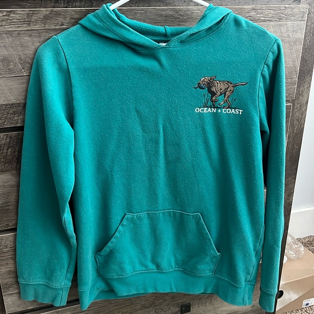 Ocean + Coast Southern Life Hunting dog hoodie